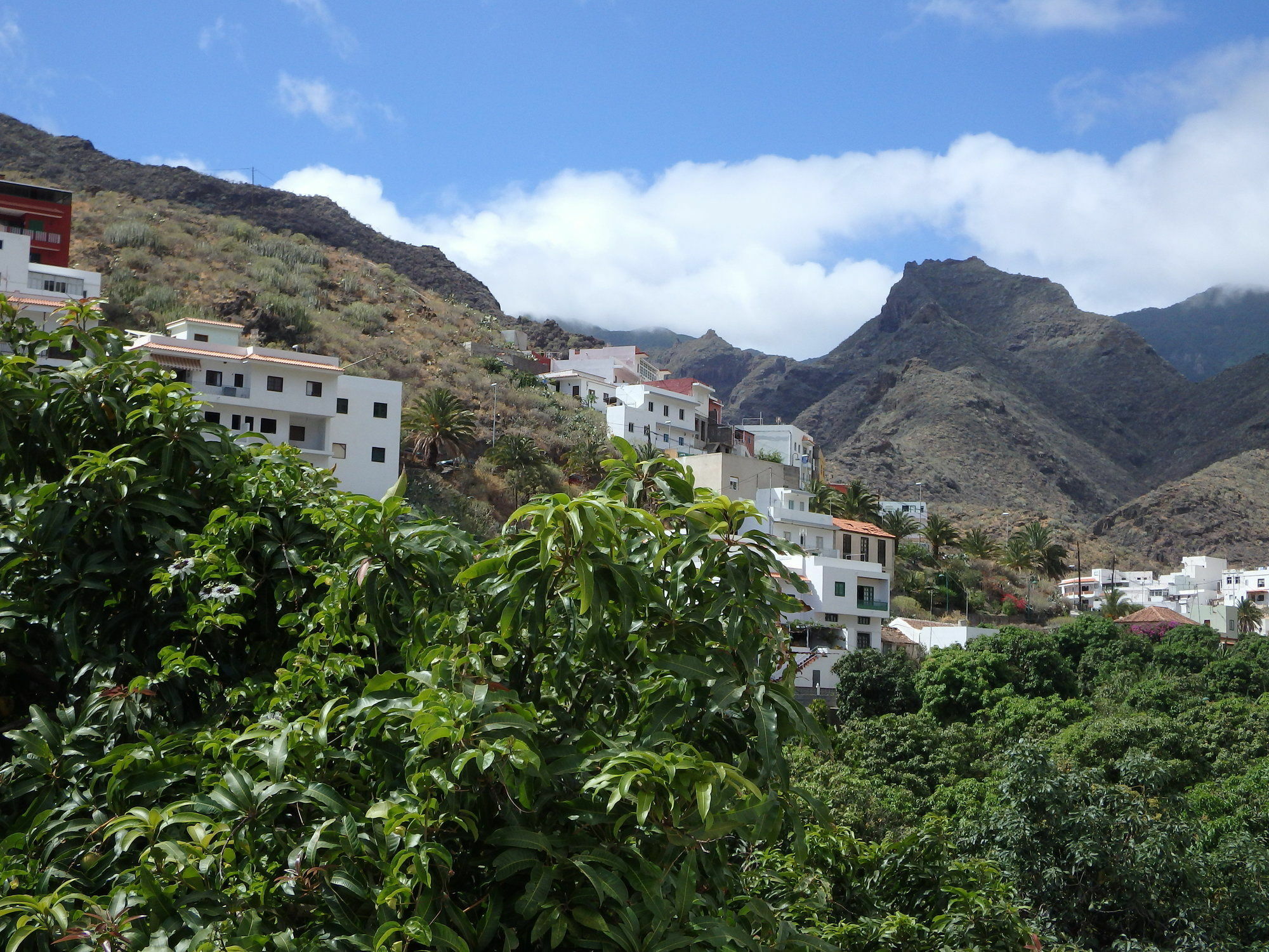 Villa La Casa De Magda Santa Cruz de Tenerife Exterior foto